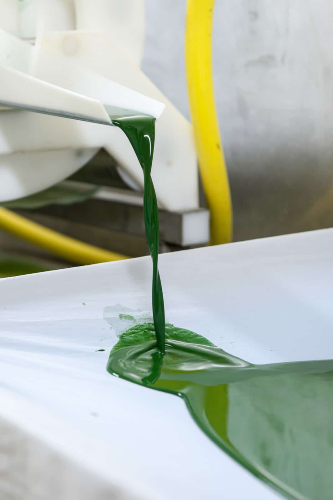 La filtration de la spiruline