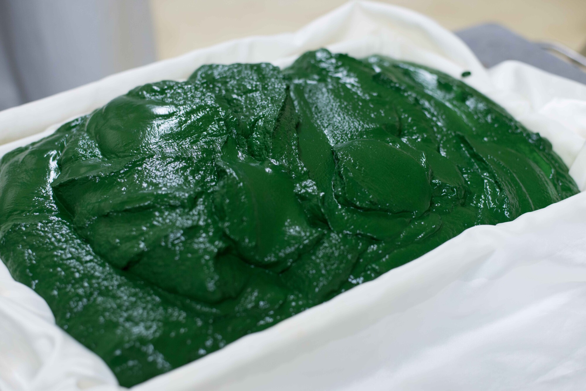 Récupération de la bio masse de la spiruline