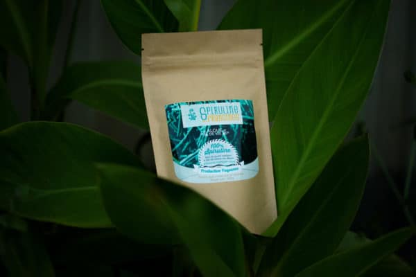 Spiruline en sachet de 100 grammes