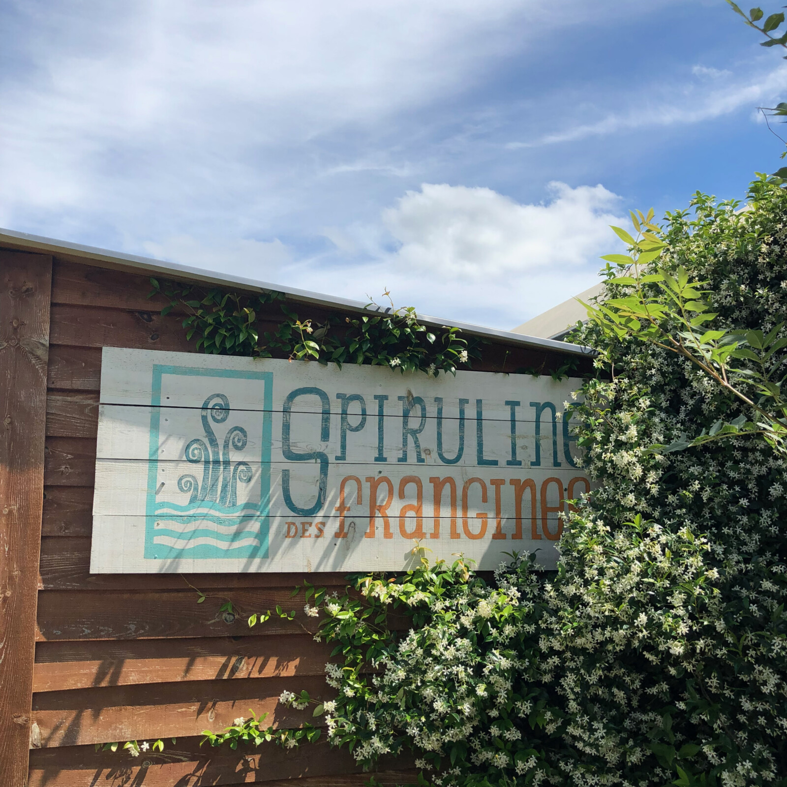 Production de spiruline dans le Lot et Garonne