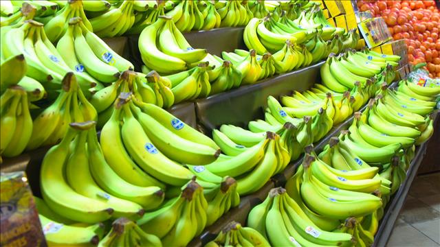 Bananes vertes
