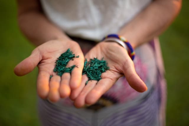 Paillettes